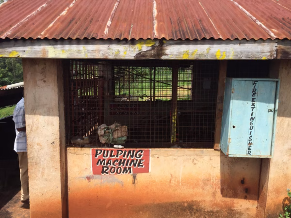 Kenya Kamwangi AA Kenya Kamwangi AA