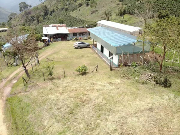 El Recreo3 Colombia Finca El Recreo Caturron