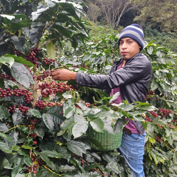 Honduras Ariel Funez La Lagunita Natural